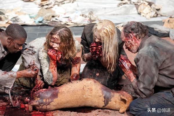 行尸走肉第2季剧情（行尸走肉第二季剧集）