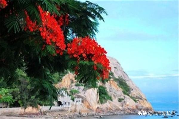 去哪里度蜜月最好（去哪度蜜月比较好国内）