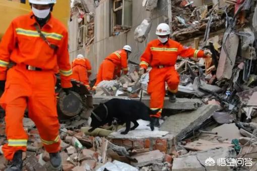 汶川大地震电视剧（汶川大地震影视剧）