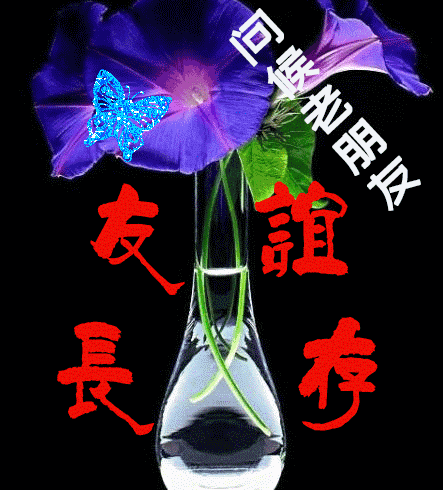 最美乡村医生_中国最美乡村医生