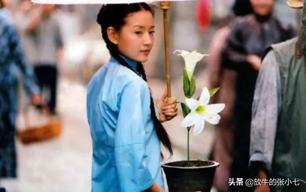 董洁演的电视剧大全_董洁演得电视剧