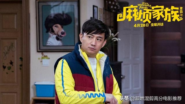 麻烦家族票房赔了吗_麻烦家族剧情