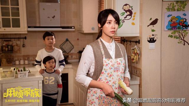 麻烦家族票房赔了吗_麻烦家族剧情