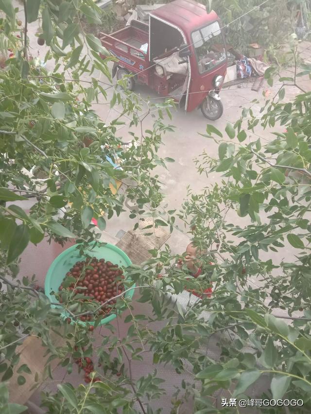 不敢说爱你小说全文免费阅读