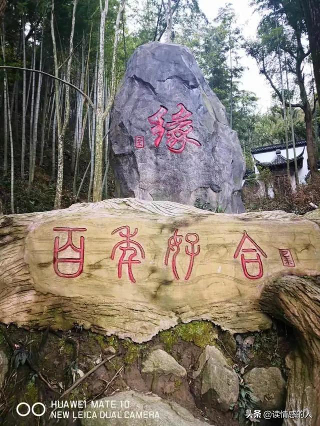 你问我爱你有多深_你问我爱你有多深歌曲原唱