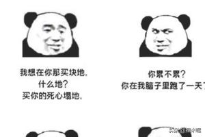 土味情话2021最新_土味情话2021大全