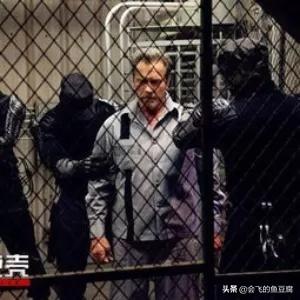 金蝉脱壳2高清在线_金蝉脱壳2免费完整