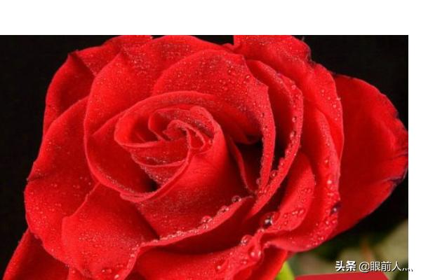 情人节送女朋友什么礼物最好
