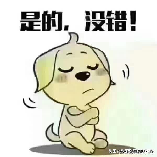 我们是真正的朋友综艺_我们是真正的朋友综艺节目