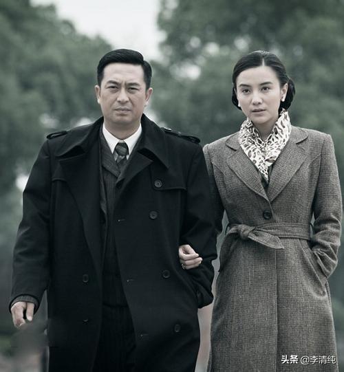 间谍电视剧全集_电视剧间谍继续播放