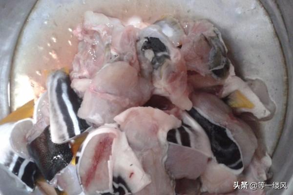 河豚鱼的做法_河豚鱼的做法视频
