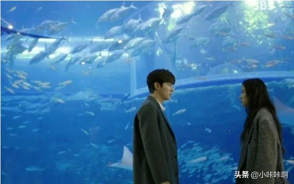 哪里可以看蓝色大海的传说_在哪里看蓝色大海的传说