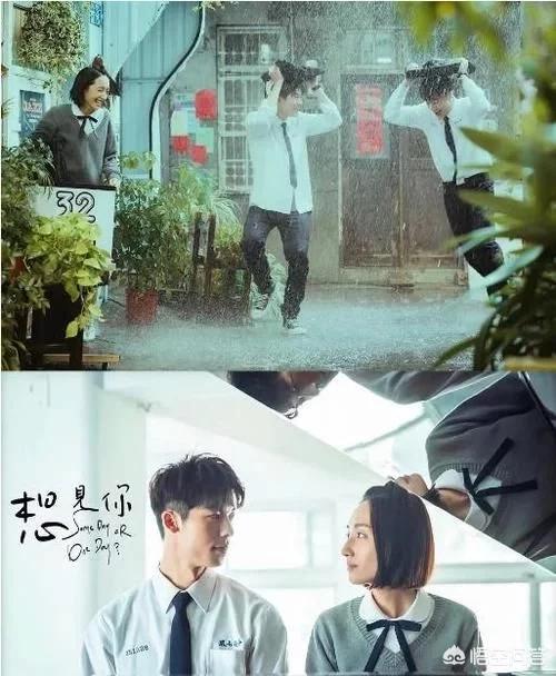 好看的电影电视剧推荐几部_好看的电影集锦