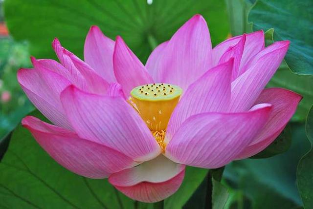 天上地下电视剧40集剧情_天上地下电视剧全集在线观看